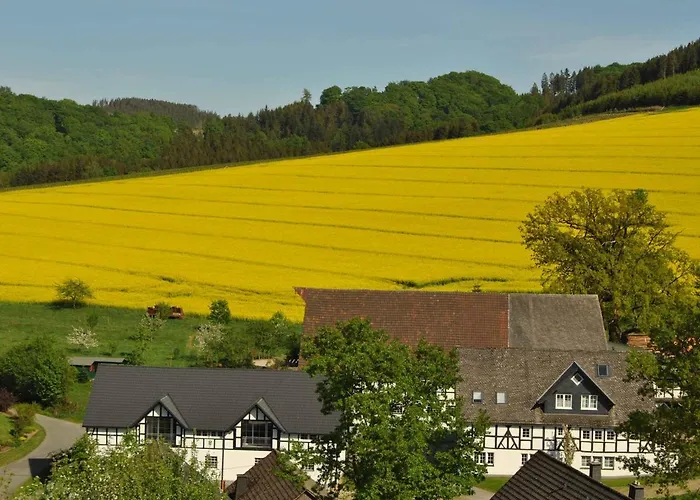 Uebern Hof Διαμέρισμα Schmallenberg